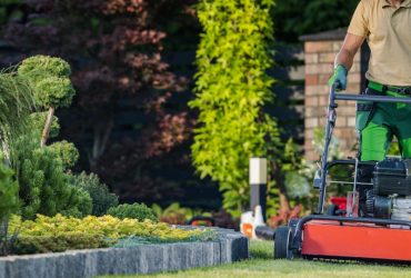 Gartenpflege Dienstleistungen