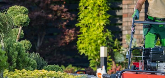 Gartenpflege Dienstleistungen