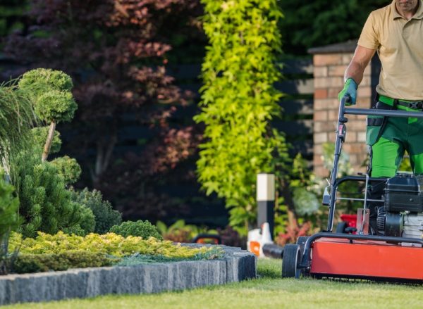 Gartenpflege Dienstleistungen